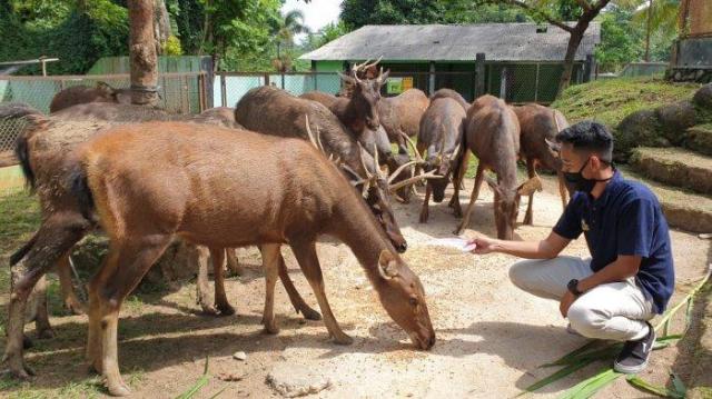 Atraksi Pariwisata Di Kabupaten Banjarnegara